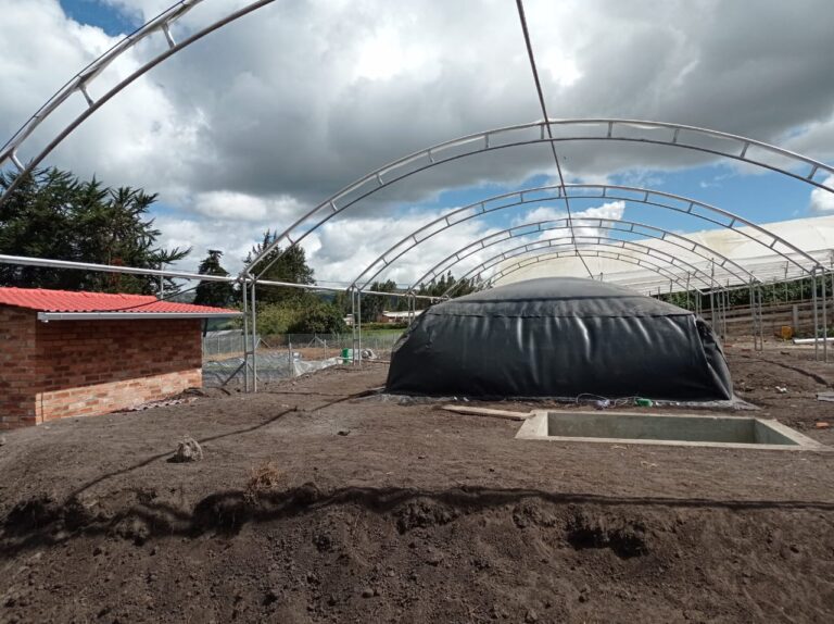 Biodigestores