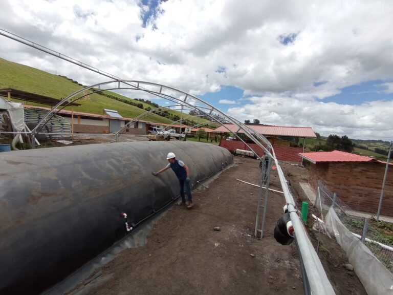 Biodigestores