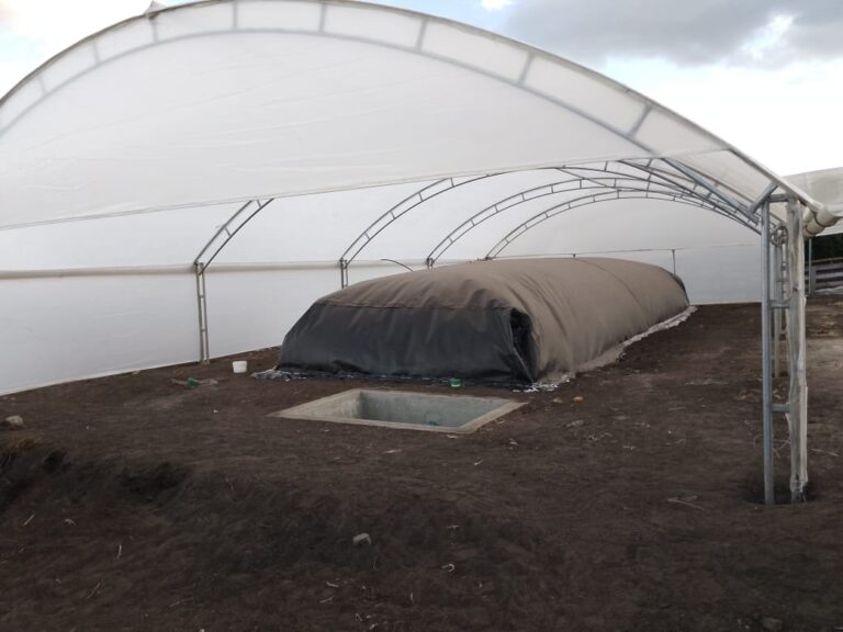 Biodigestores