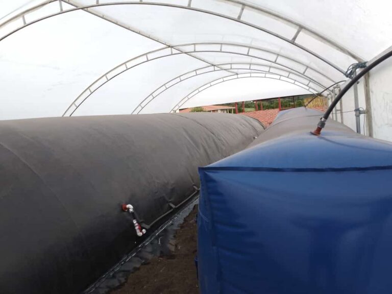 Biodigestores
