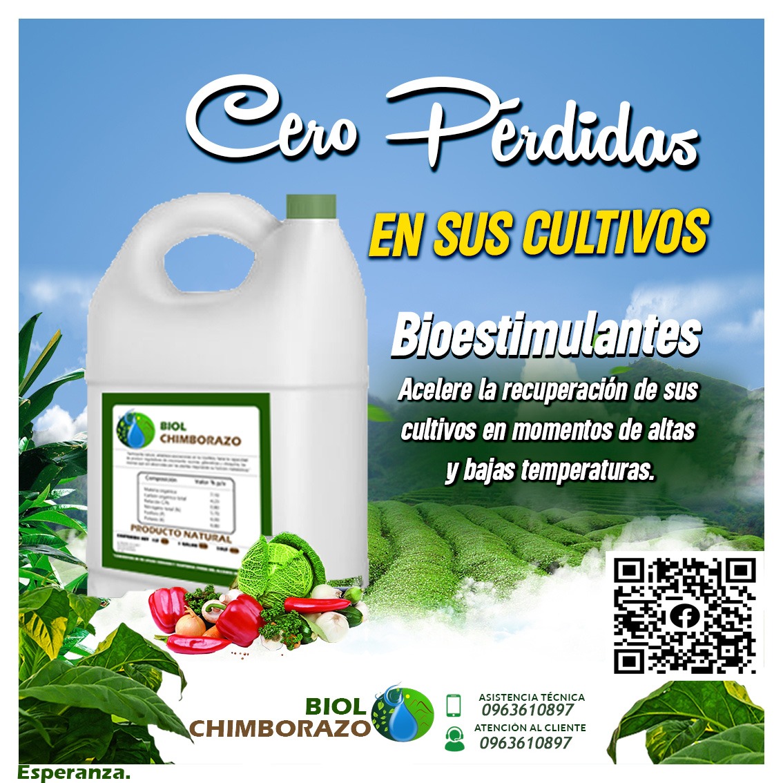 Bioestufa Inoxidable