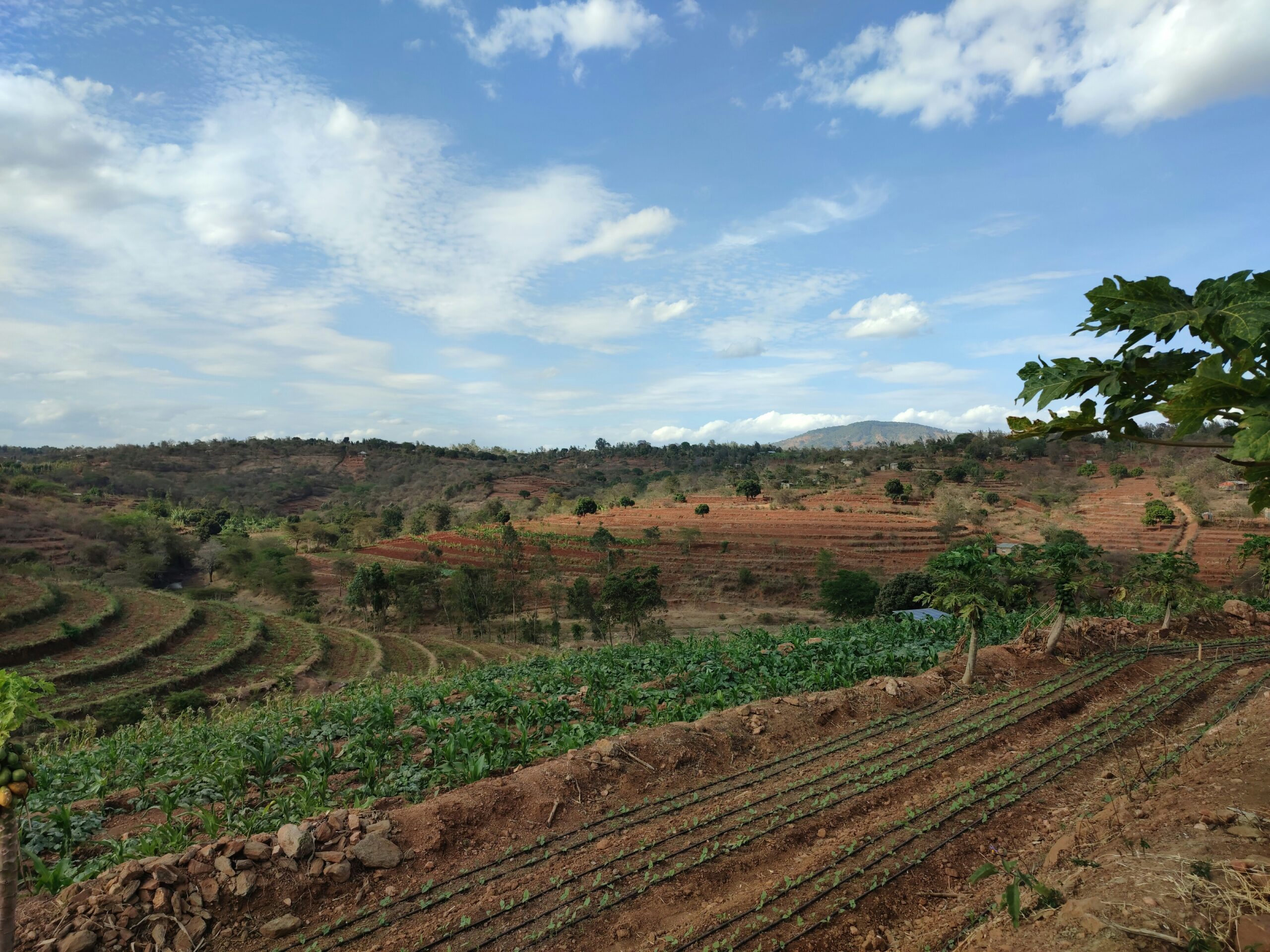 Geomembranas